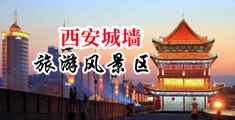 手机在线爆乳后插中国陕西-西安城墙旅游风景区