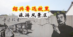 嗯……鸡巴好粗视频中国绍兴-鲁迅故里旅游风景区