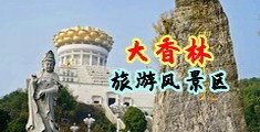 插骚逼流水视频中国浙江-绍兴大香林旅游风景区